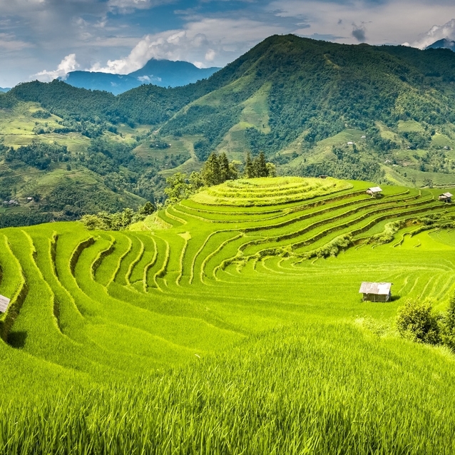 SAPA TOUR : 1 DAYS TREKKING WITH H'MONG PEOPLE